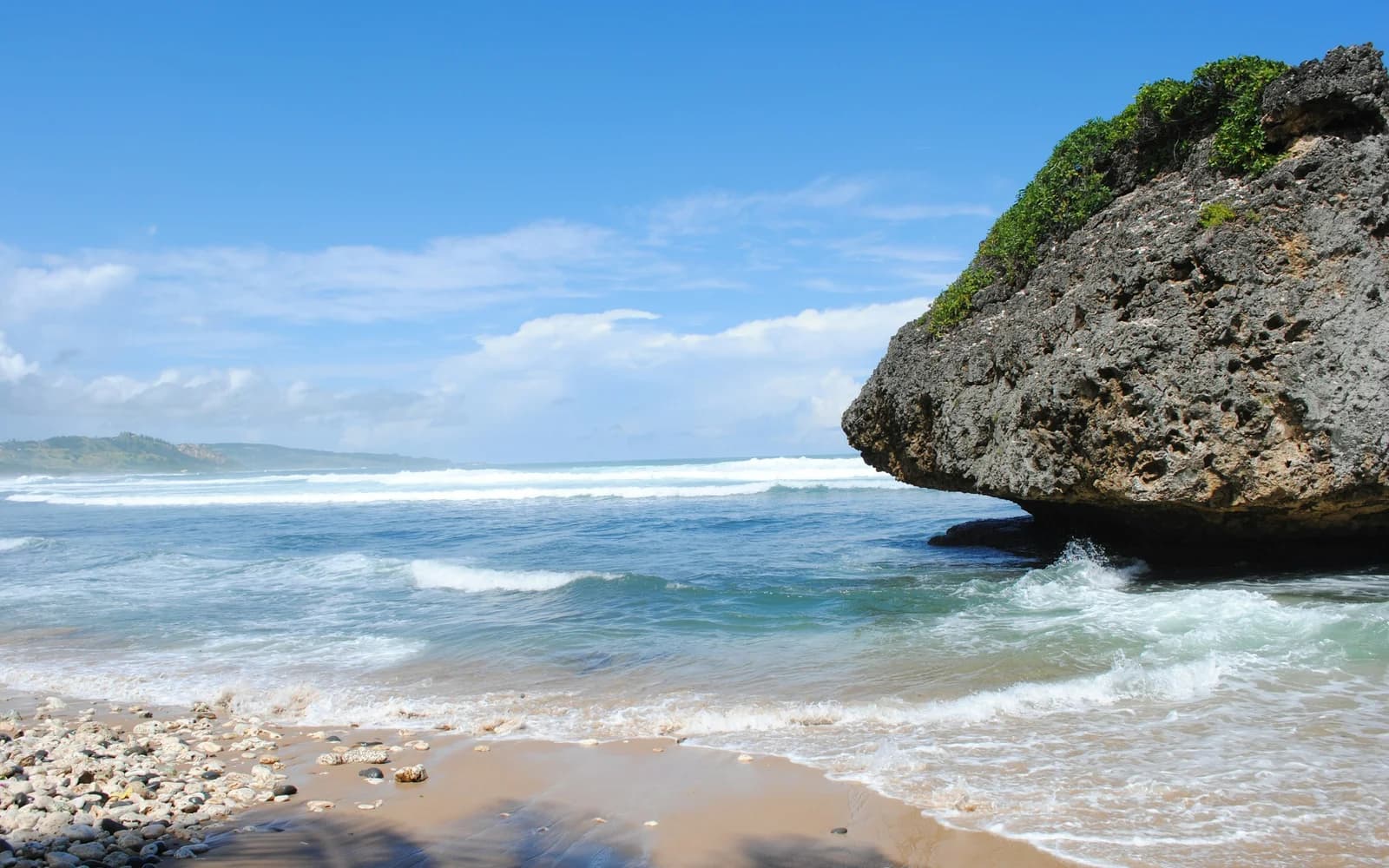 Surf à Bathsheba, Barbade