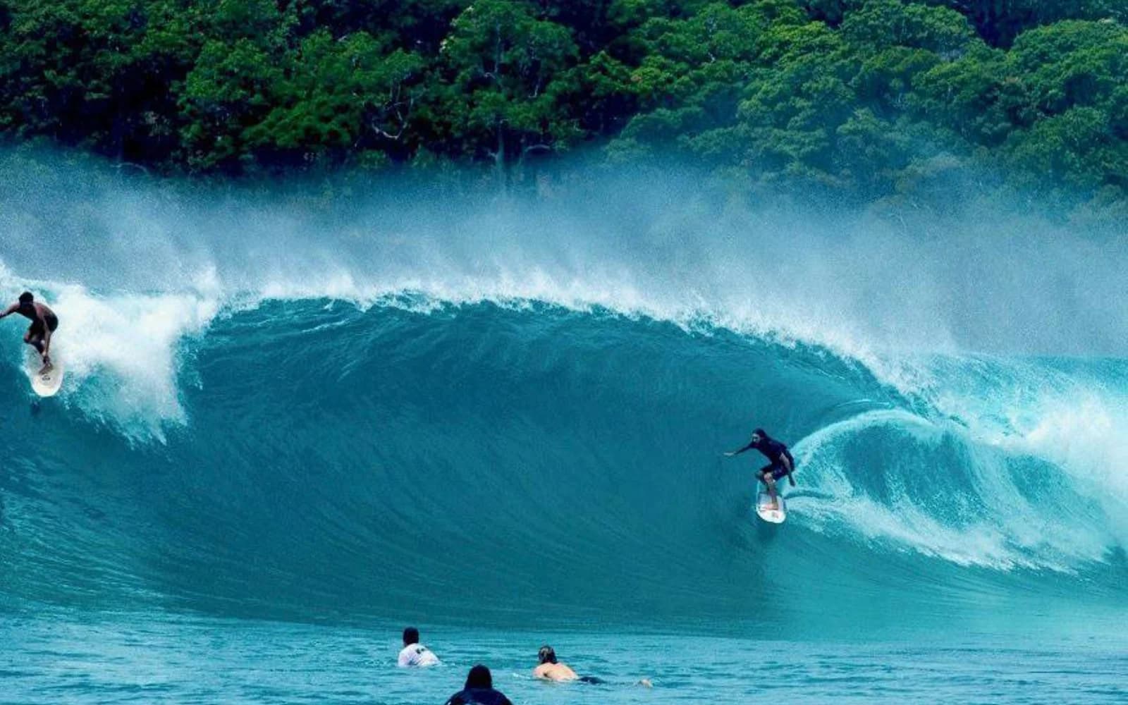 Surf à Noosa, Australie