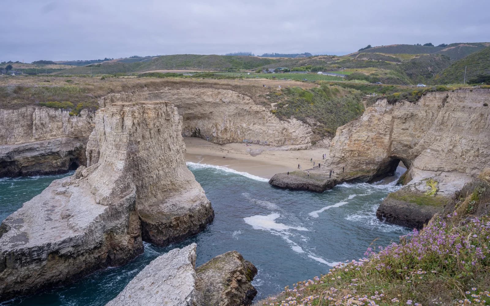 Surf à Santa Cruz, Etats-Unis