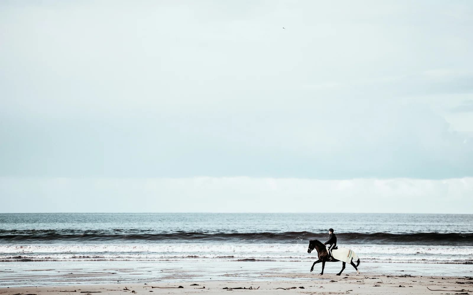 Surf à Thurso (Ecosse), Royaume-Uni