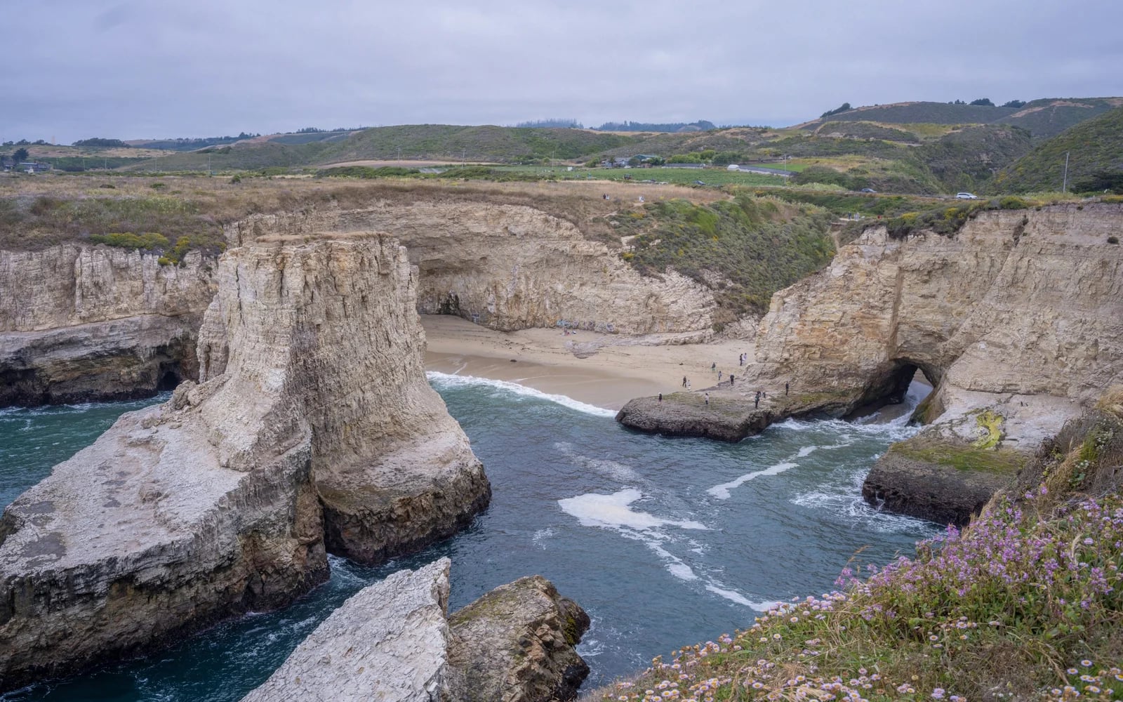 Surf à Santa Cruz, Etats-Unis